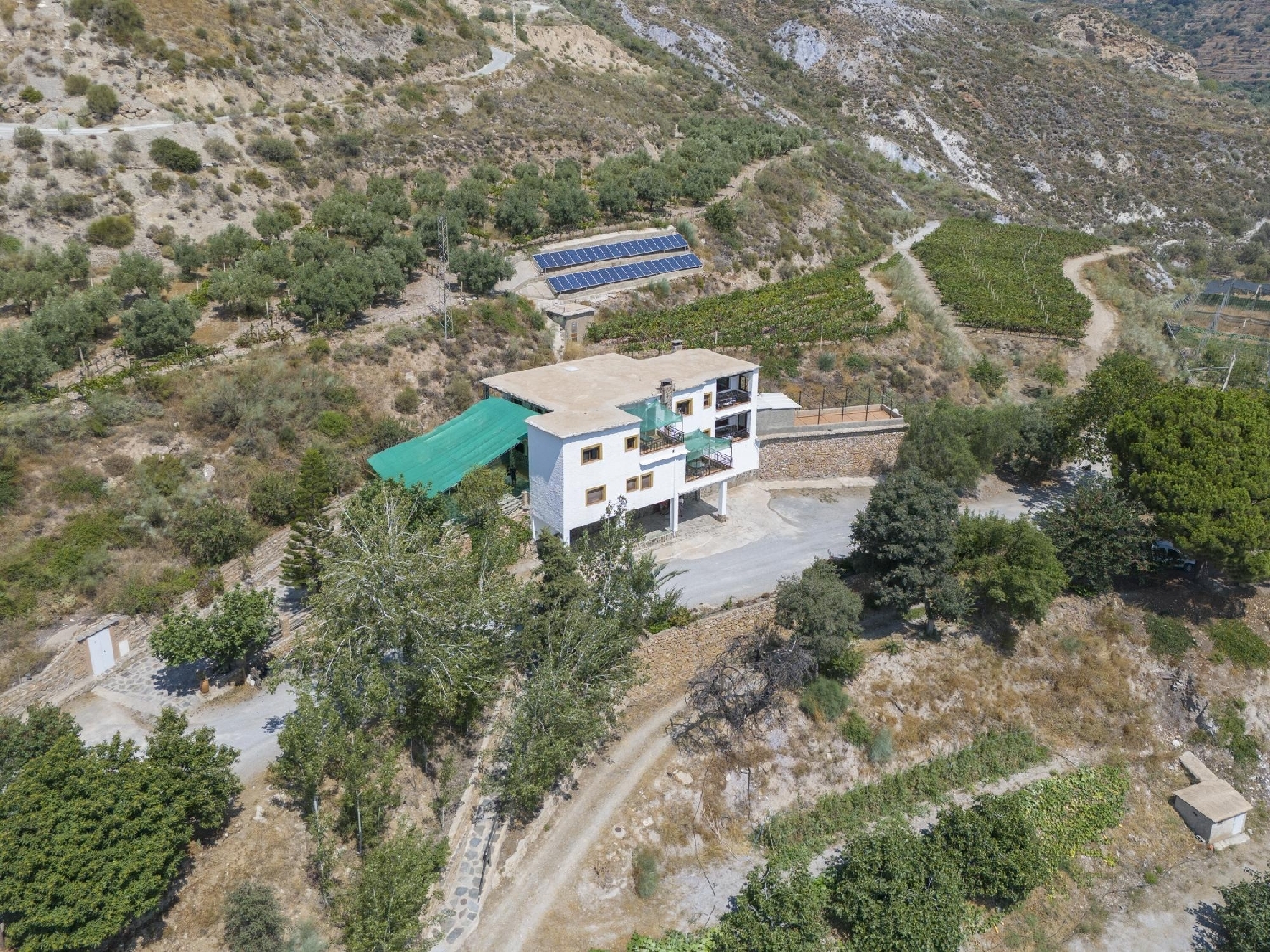  for sale commercial Barrio De Granada Alacantí 3