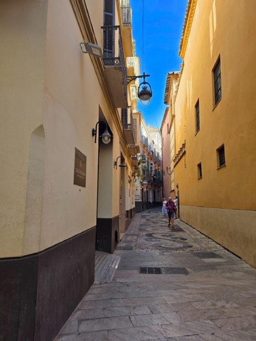 Málaga Del Fresno Campiña bedrijfsruimte/ kantoor foto 6303717