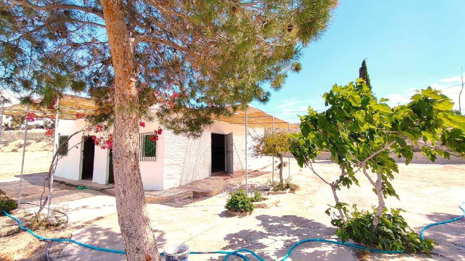 en venta finca rústica Abanilla Oriental 7
