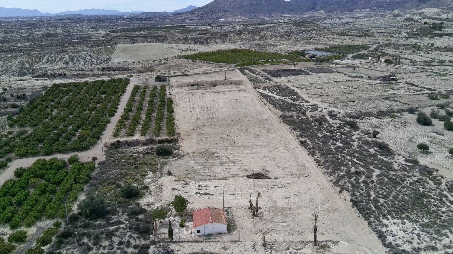  en venta finca rústica Abanilla Oriental 5