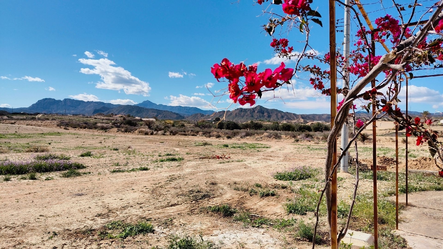  en venta finca rústica Abanilla Oriental 3