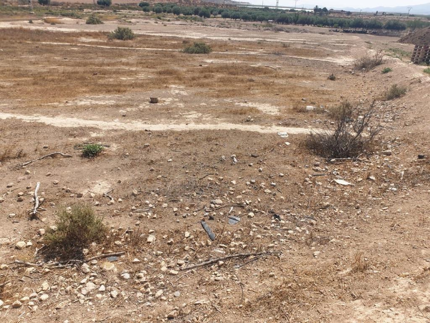  te koop boerderij Alhama De Murcia Bajo Guadalentín 5