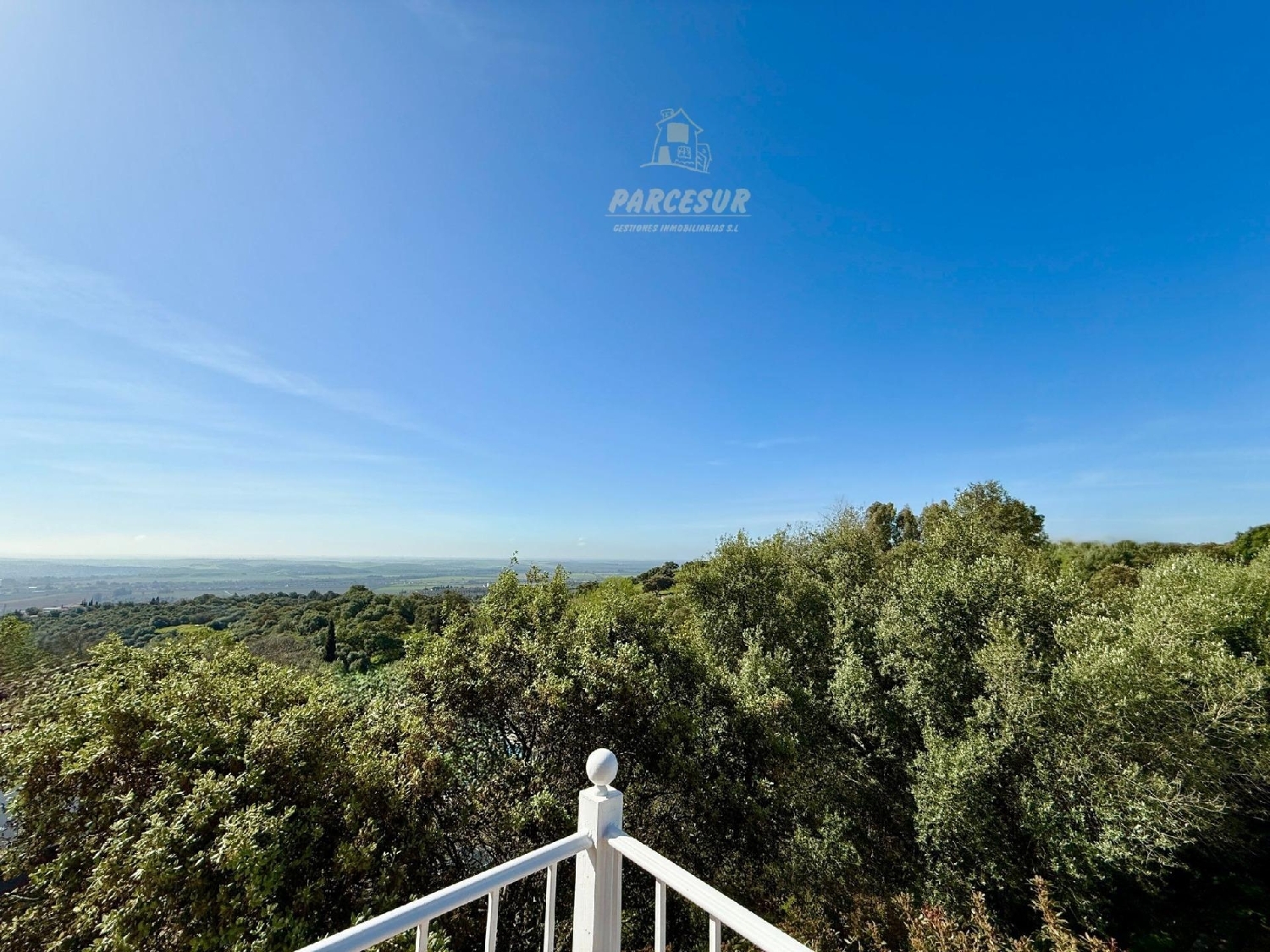  en venta finca rústica Almodóvar Del Río Valle Medio Del Guadalquivir 3