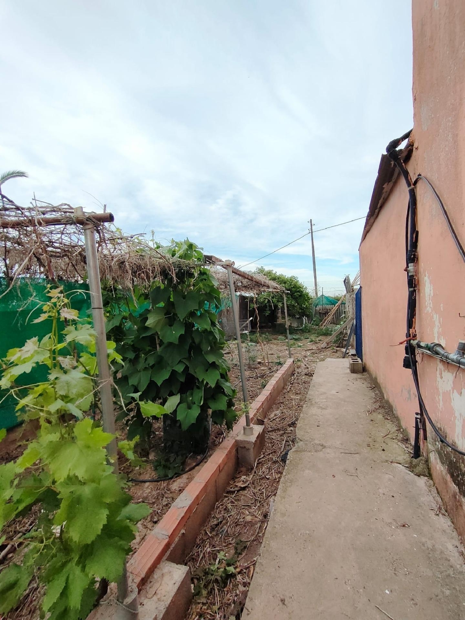  à vendre maison de campagne Burriana Plana Baixa 7