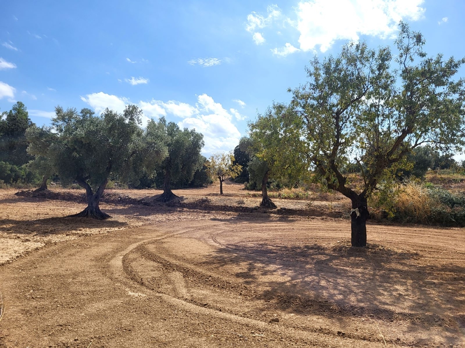  for sale country house Calaceite Matarraña 9