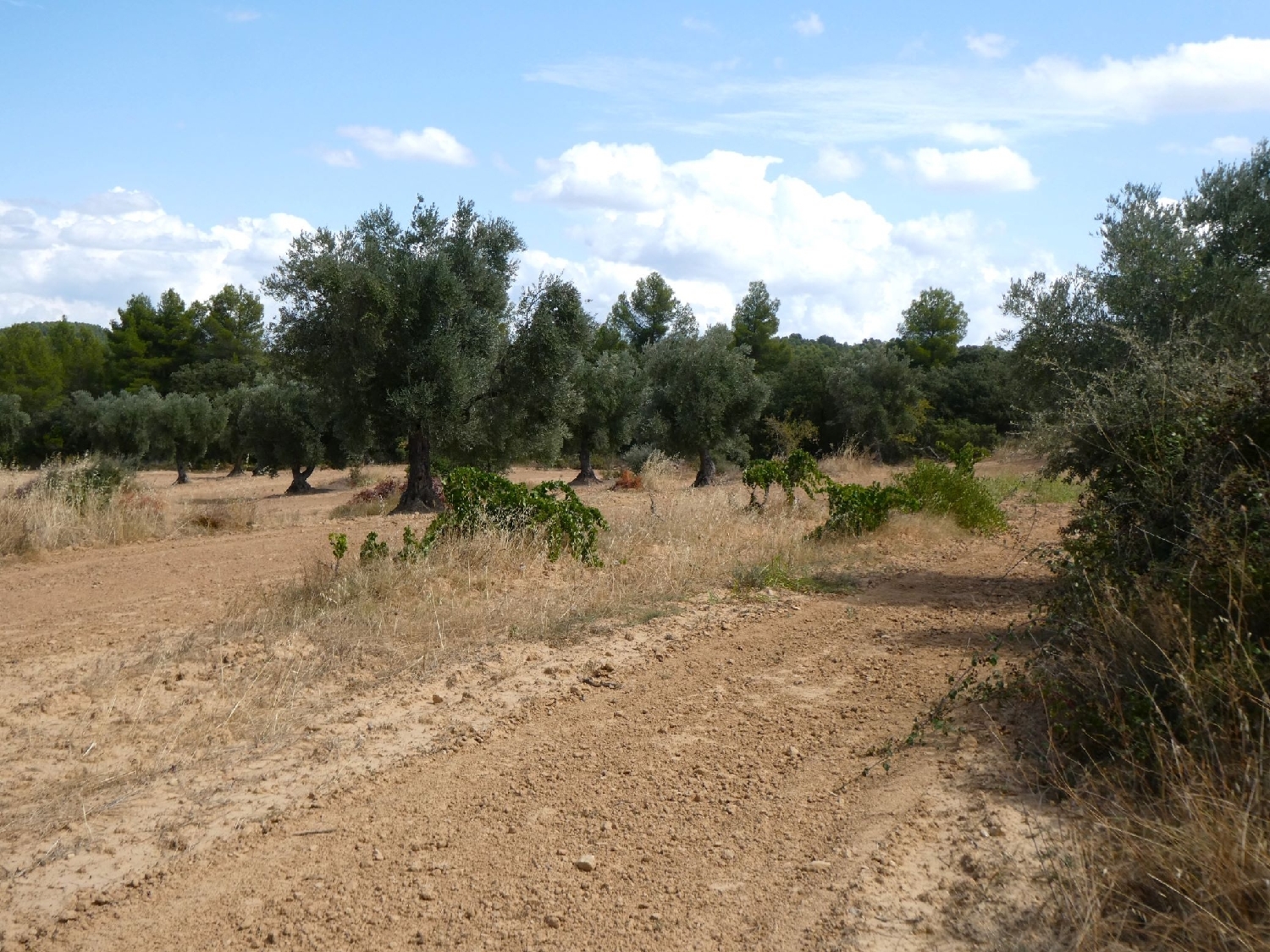  for sale country house Calaceite Matarraña 15