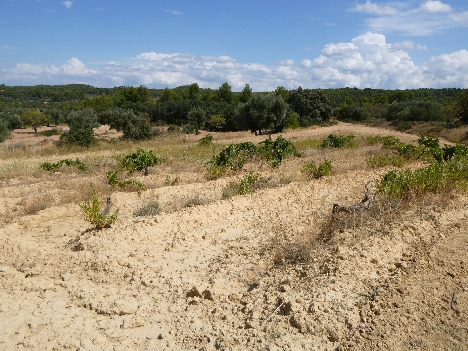  for sale country house Calaceite Matarraña 11