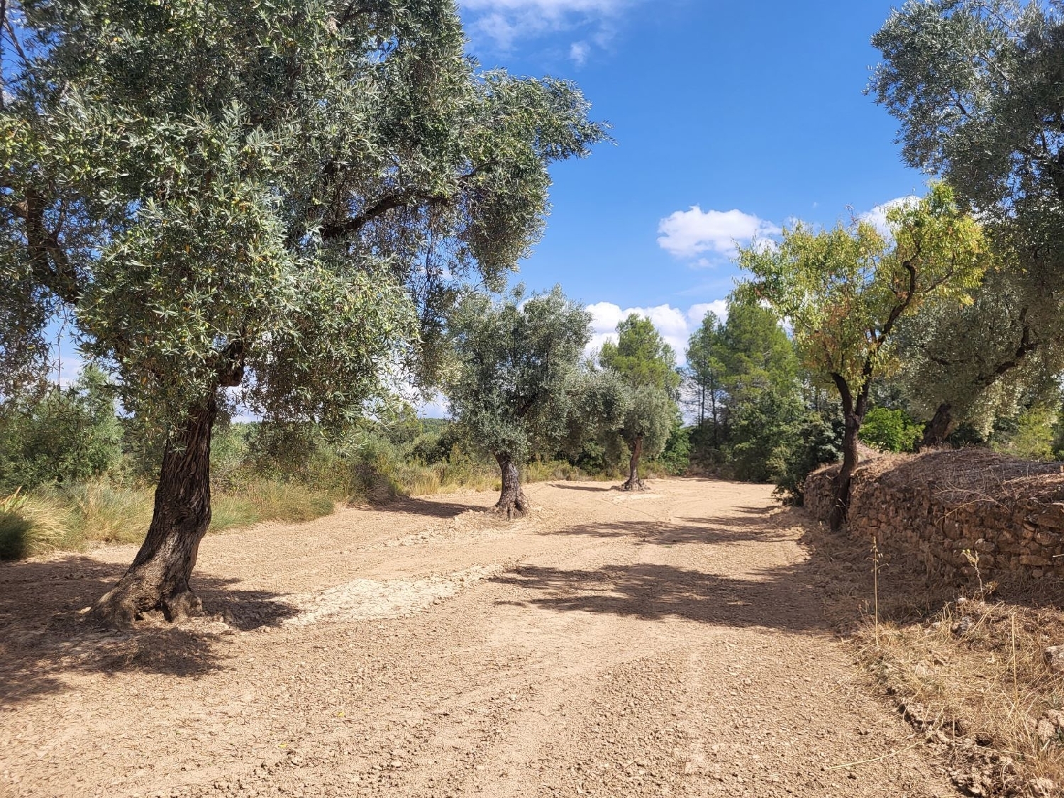  for sale country house Calaceite Matarraña 8