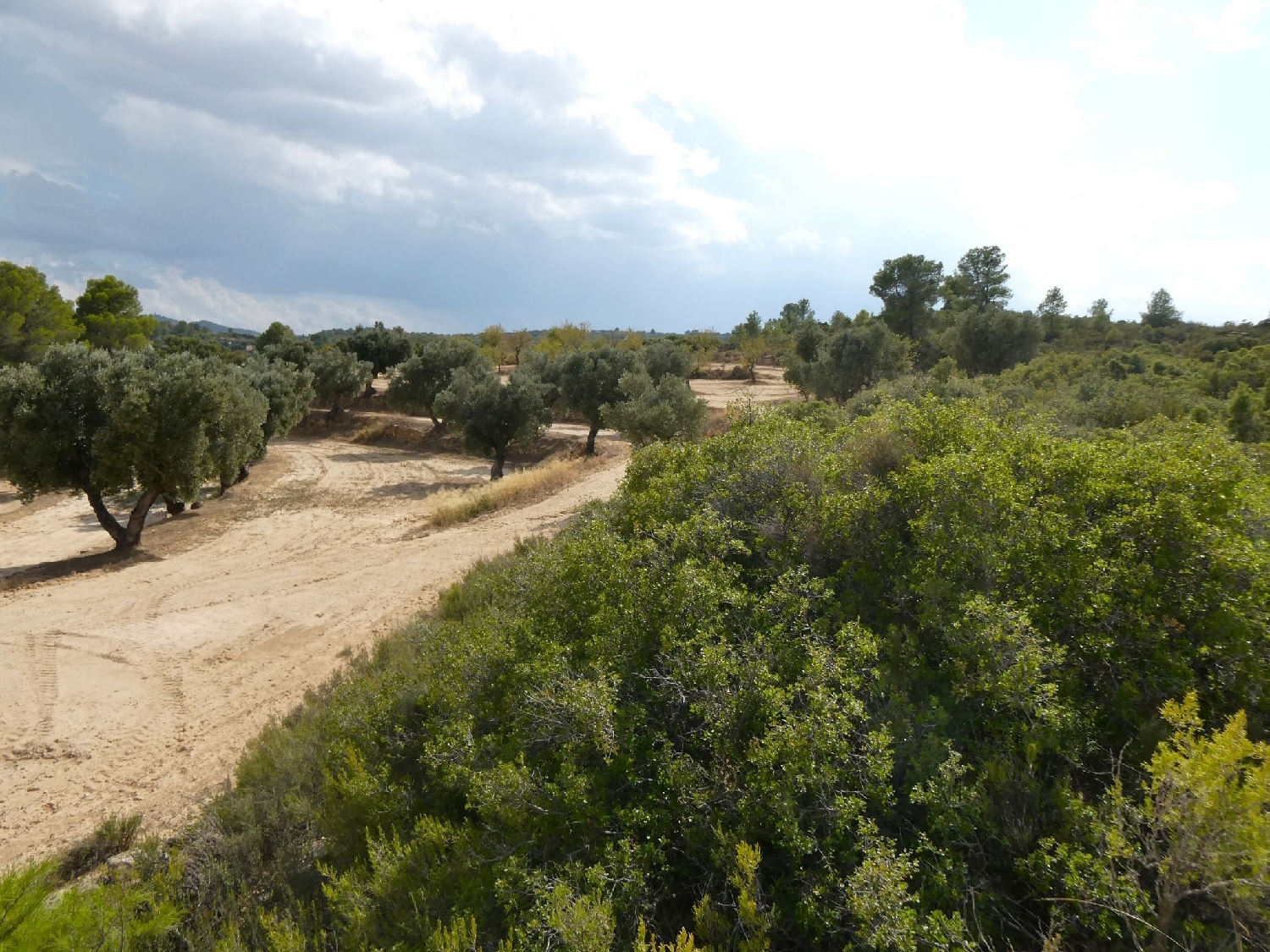  te koop boerderij Calaceite Matarraña 4