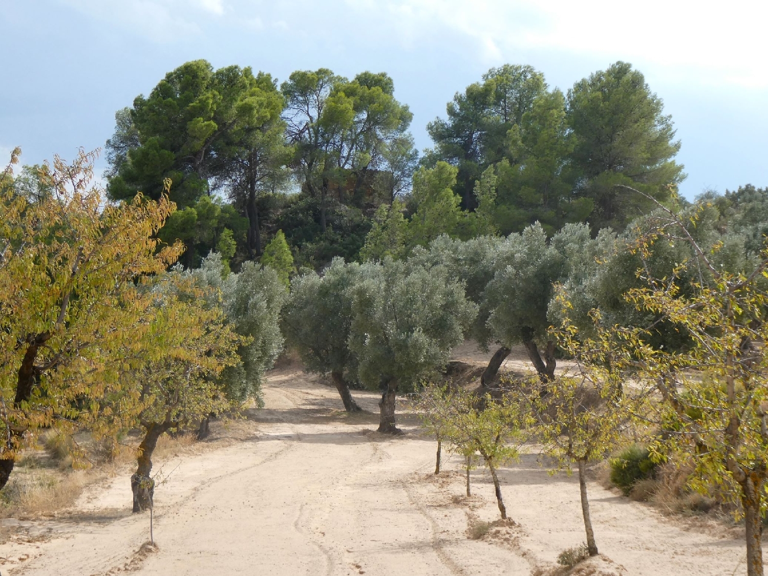  te koop boerderij Calaceite Matarraña 8