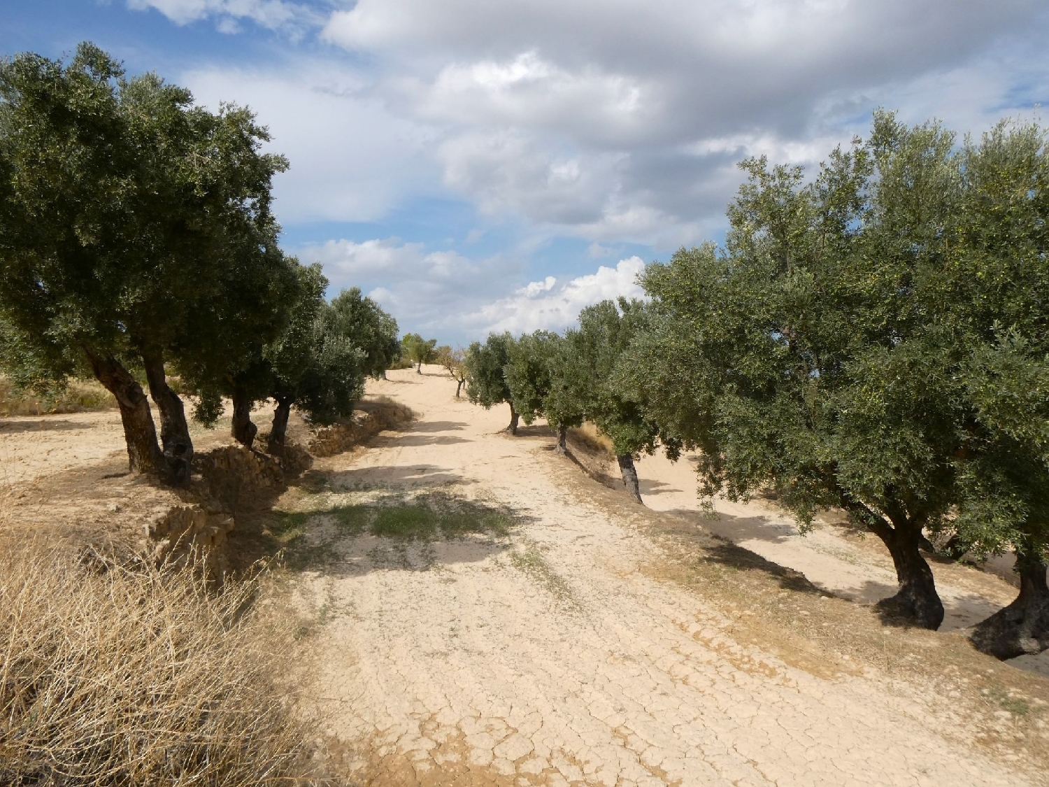  te koop boerderij Calaceite Matarraña 12
