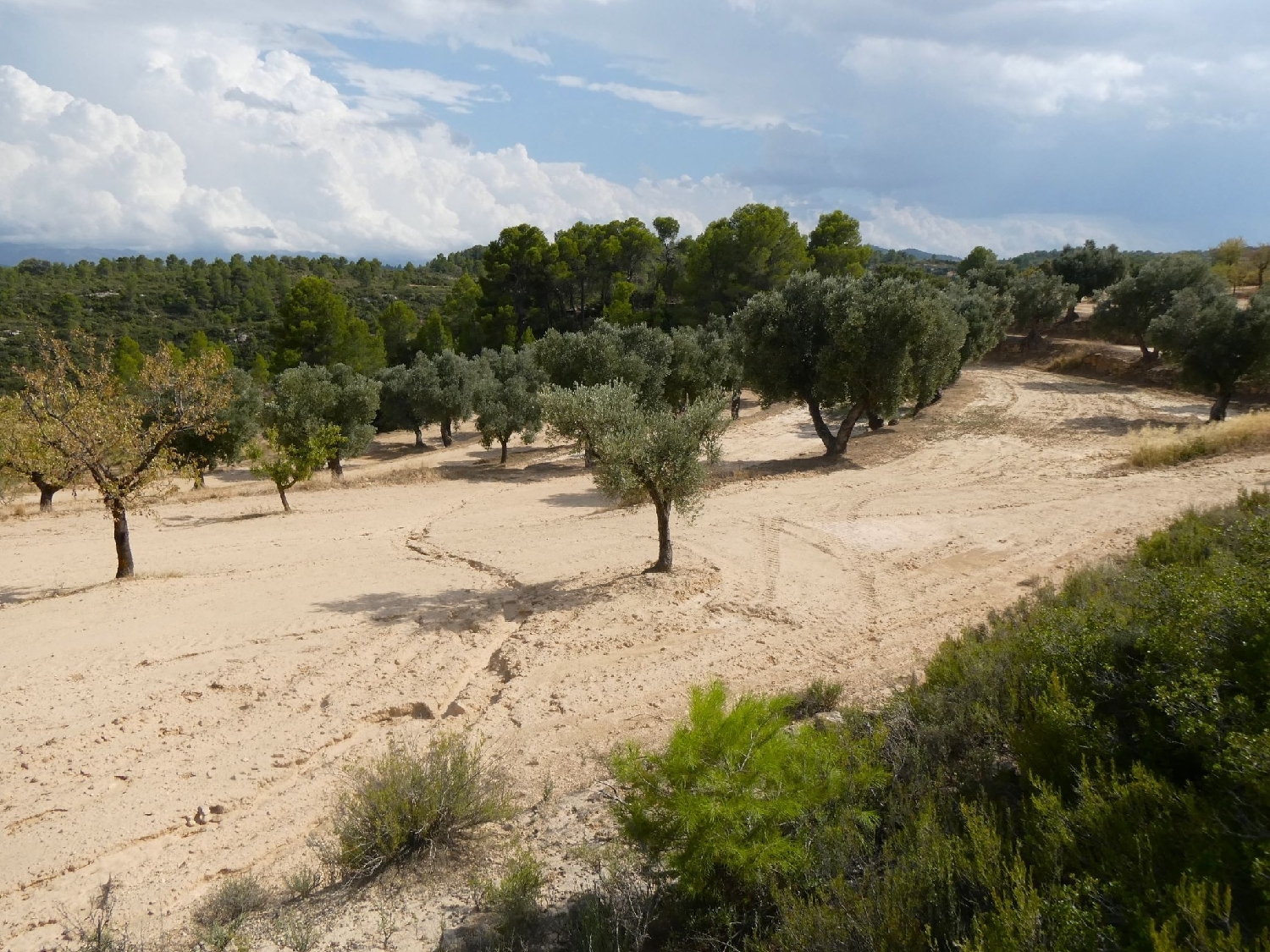  te koop boerderij Calaceite Matarraña 5