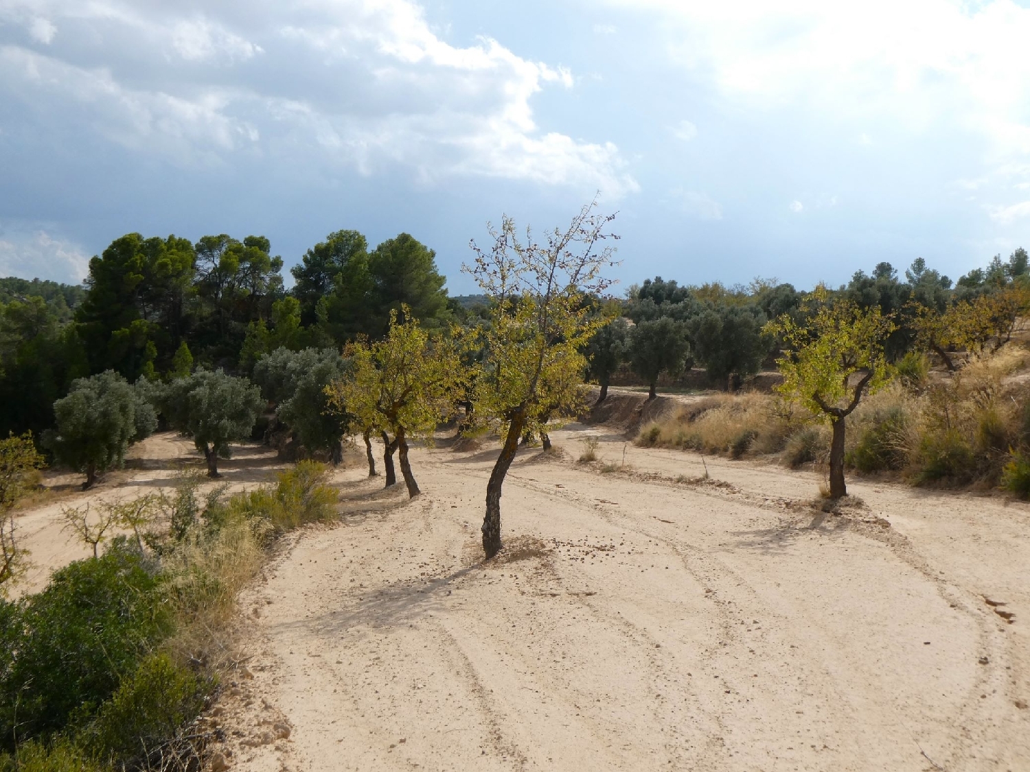  te koop boerderij Calaceite Matarraña 7