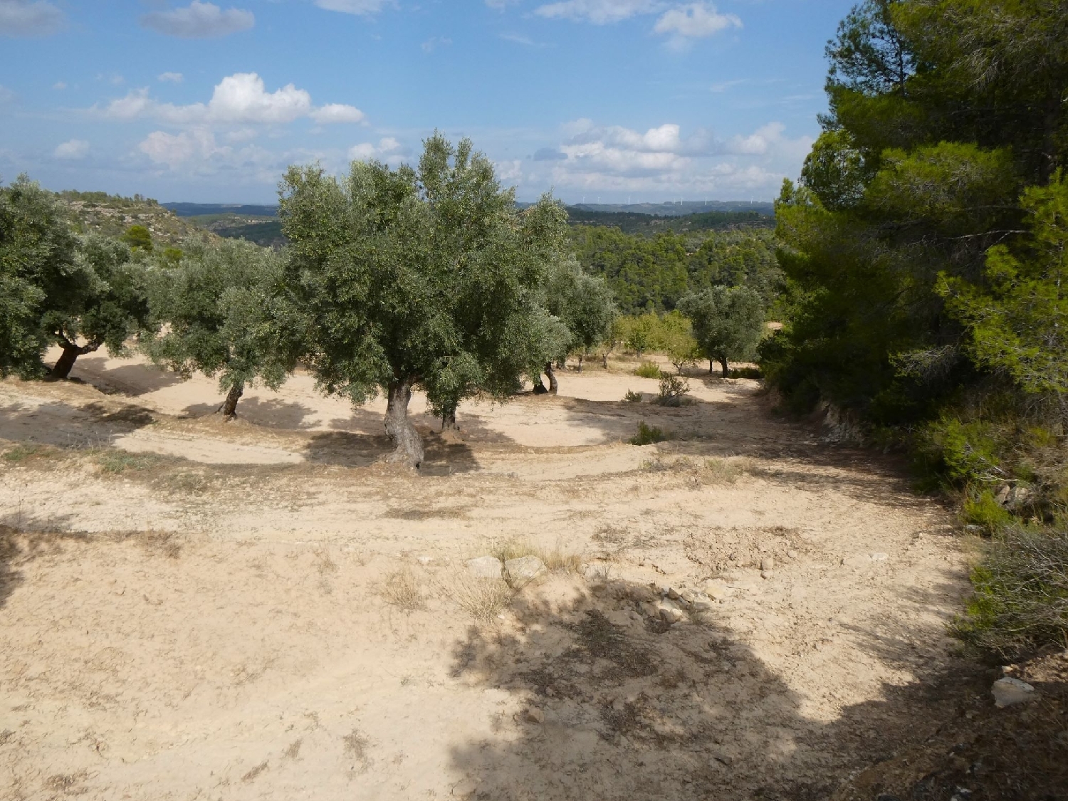  te koop boerderij Calaceite Matarraña 13