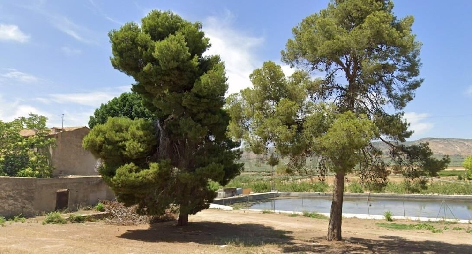  te koop boerderij Campo De Mirra Alt Vinalopó 2