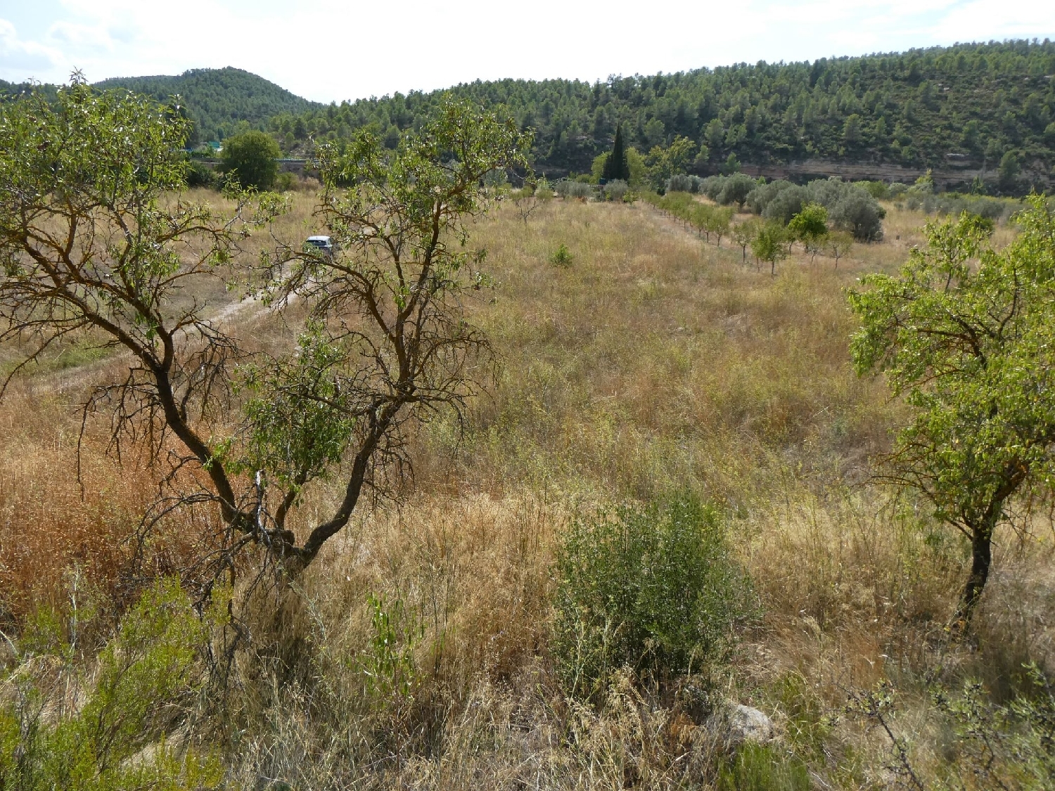  for sale country house Caseres Terra Alta 12
