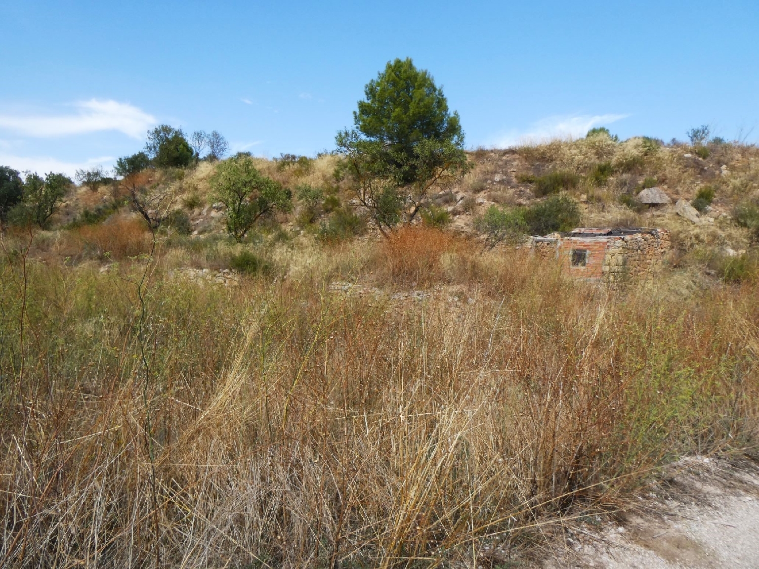 for sale country house Caseres Terra Alta 5