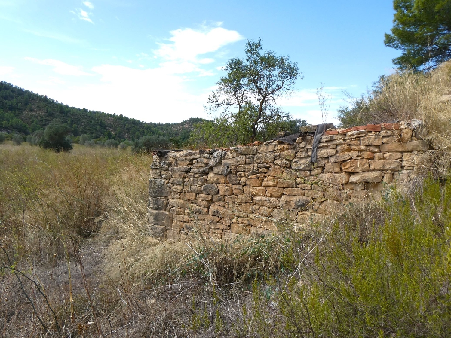  for sale country house Caseres Terra Alta 9
