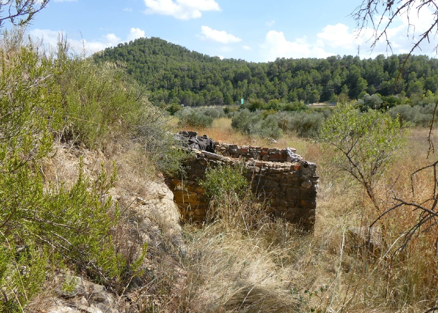  for sale country house Caseres Terra Alta 11