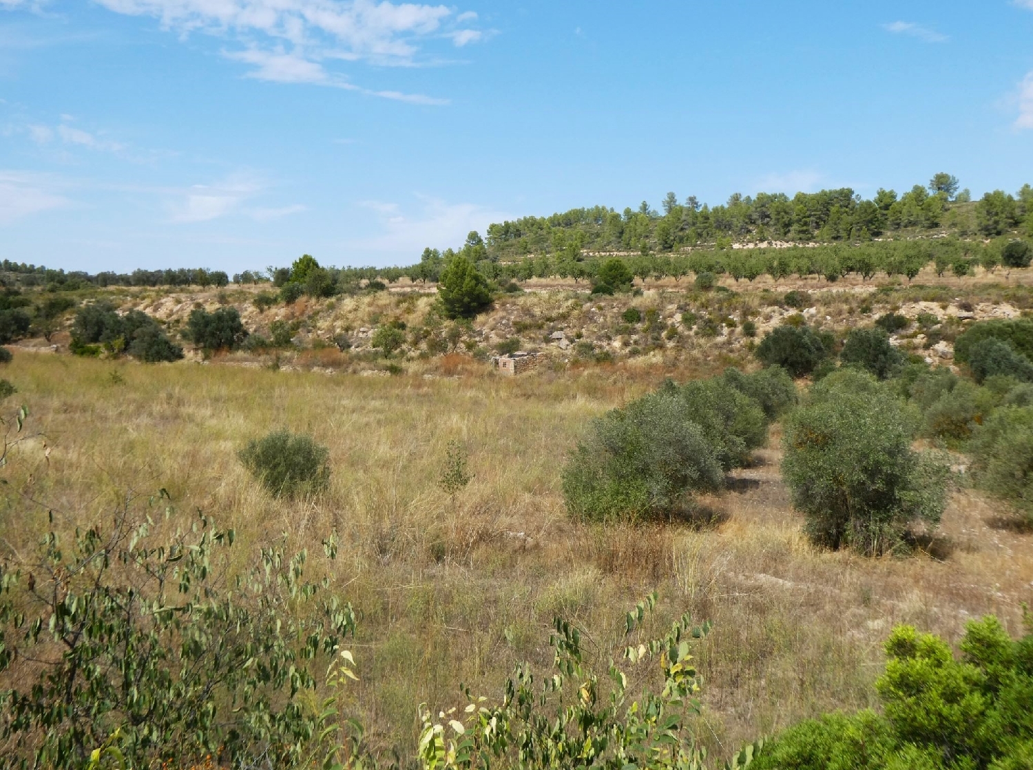  for sale country house Caseres Terra Alta 2