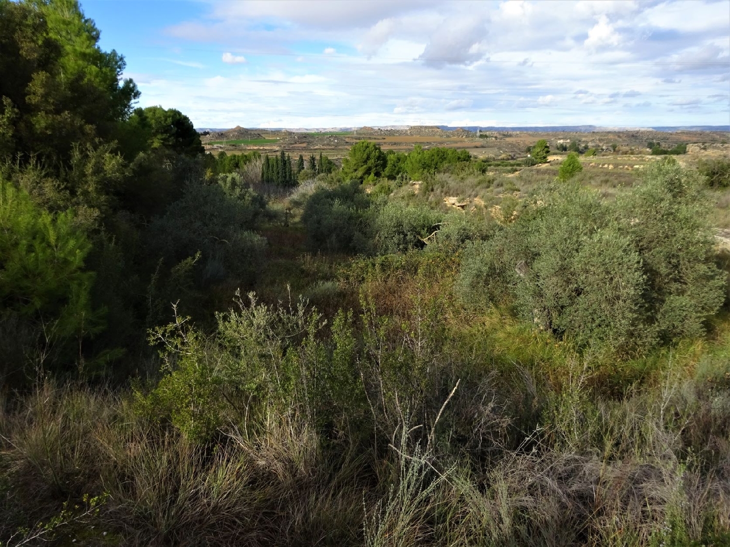  for sale country house Caspe Bajo Aragón-Caspe 14