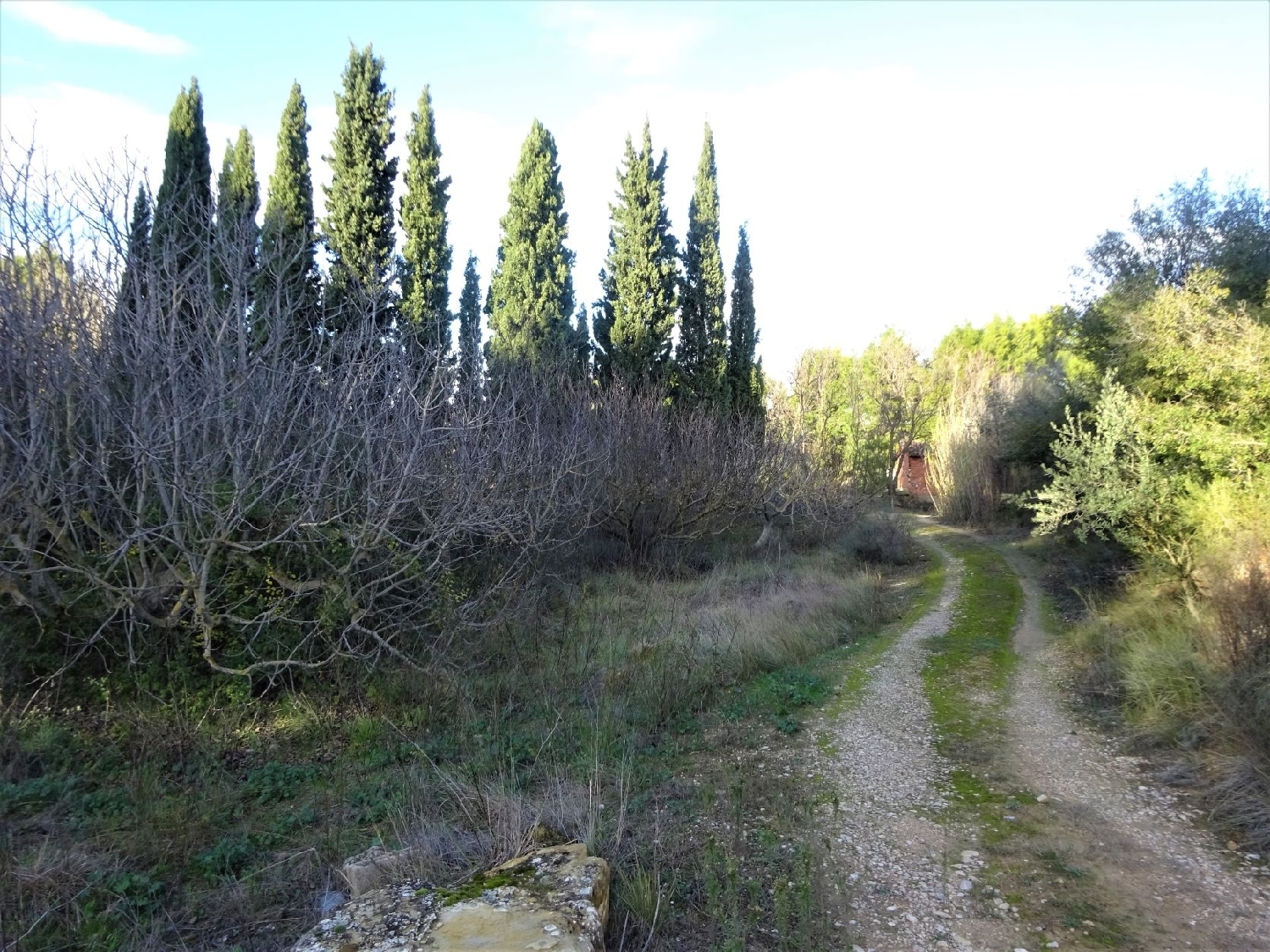  for sale country house Caspe Bajo Aragón-Caspe 2