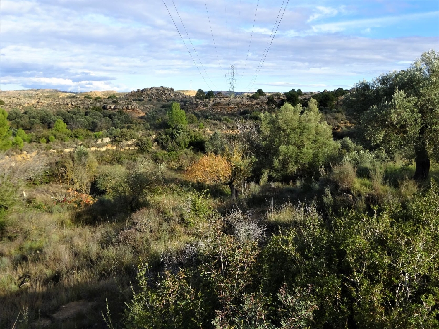  for sale country house Caspe Bajo Aragón-Caspe 11