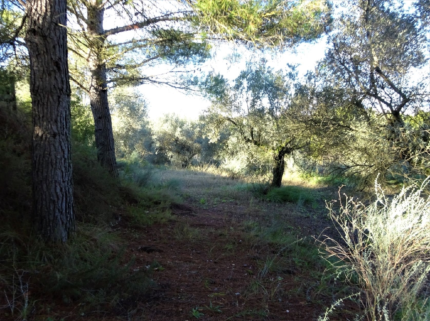  for sale country house Caspe Bajo Aragón-Caspe 6
