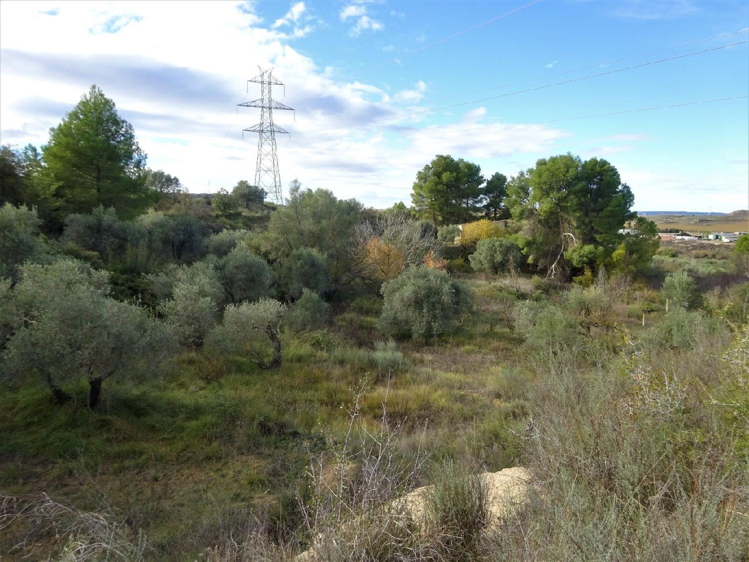  for sale country house Caspe Bajo Aragón-Caspe 15