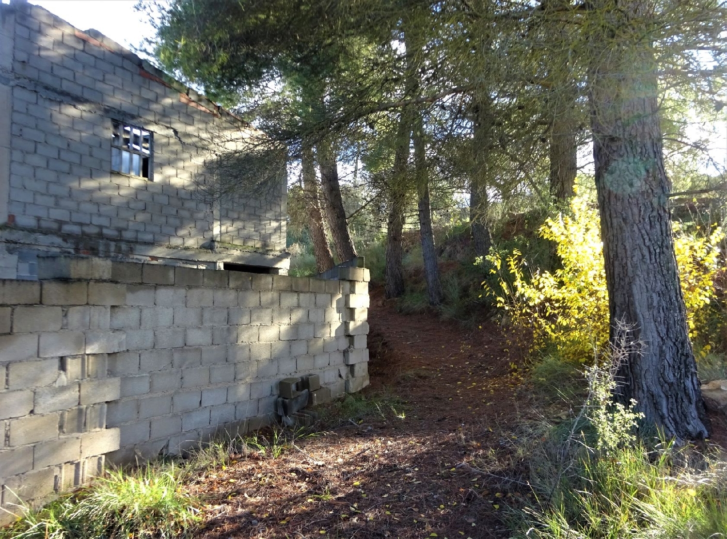  for sale country house Caspe Bajo Aragón-Caspe 7