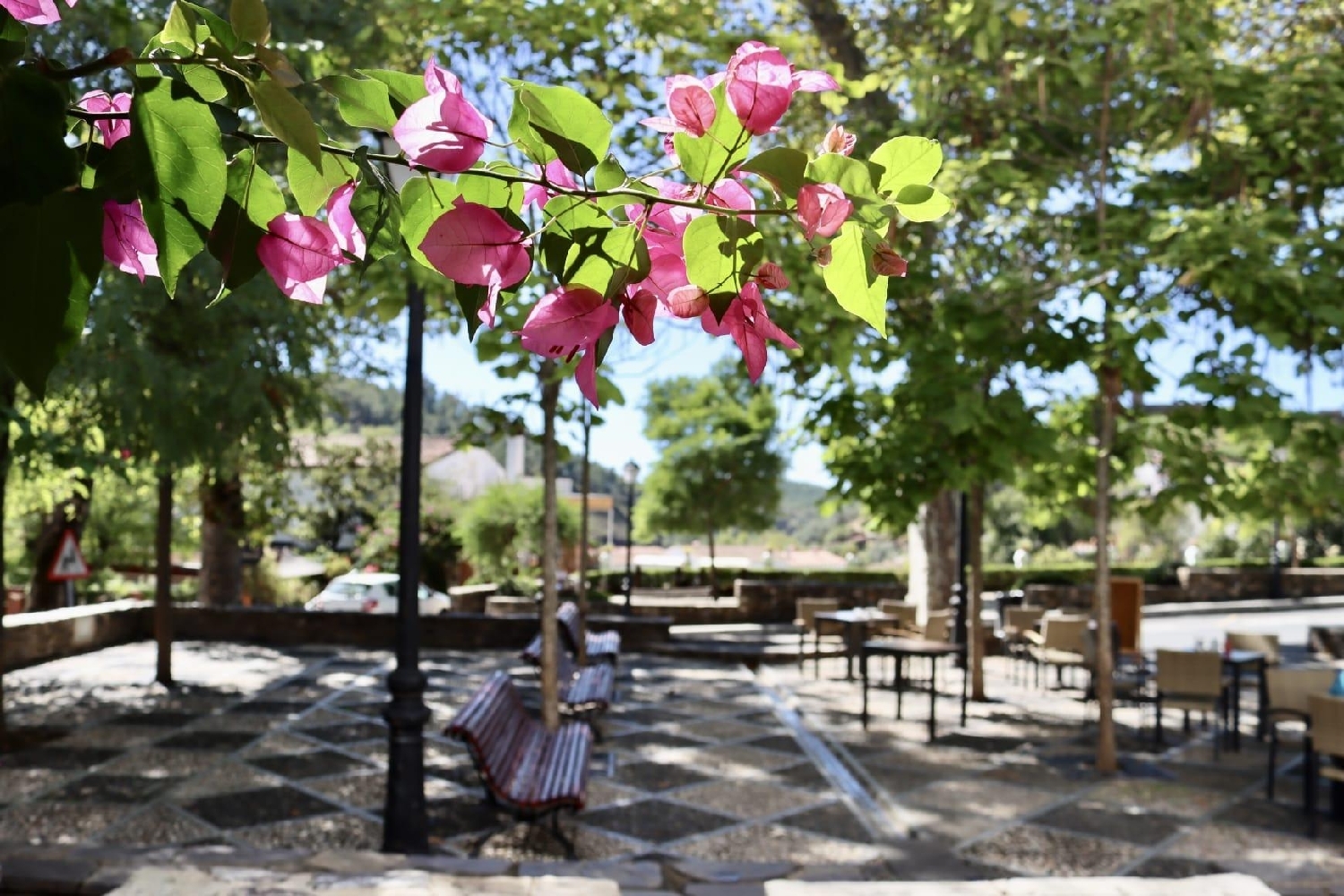  en venta finca rústica Cortegana Tierra De Barros 1