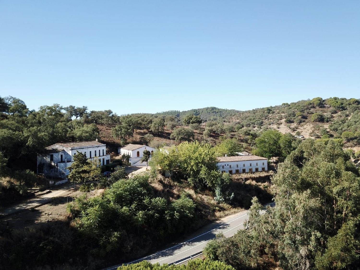  en venta finca rústica Cortegana Tierra De Barros 3