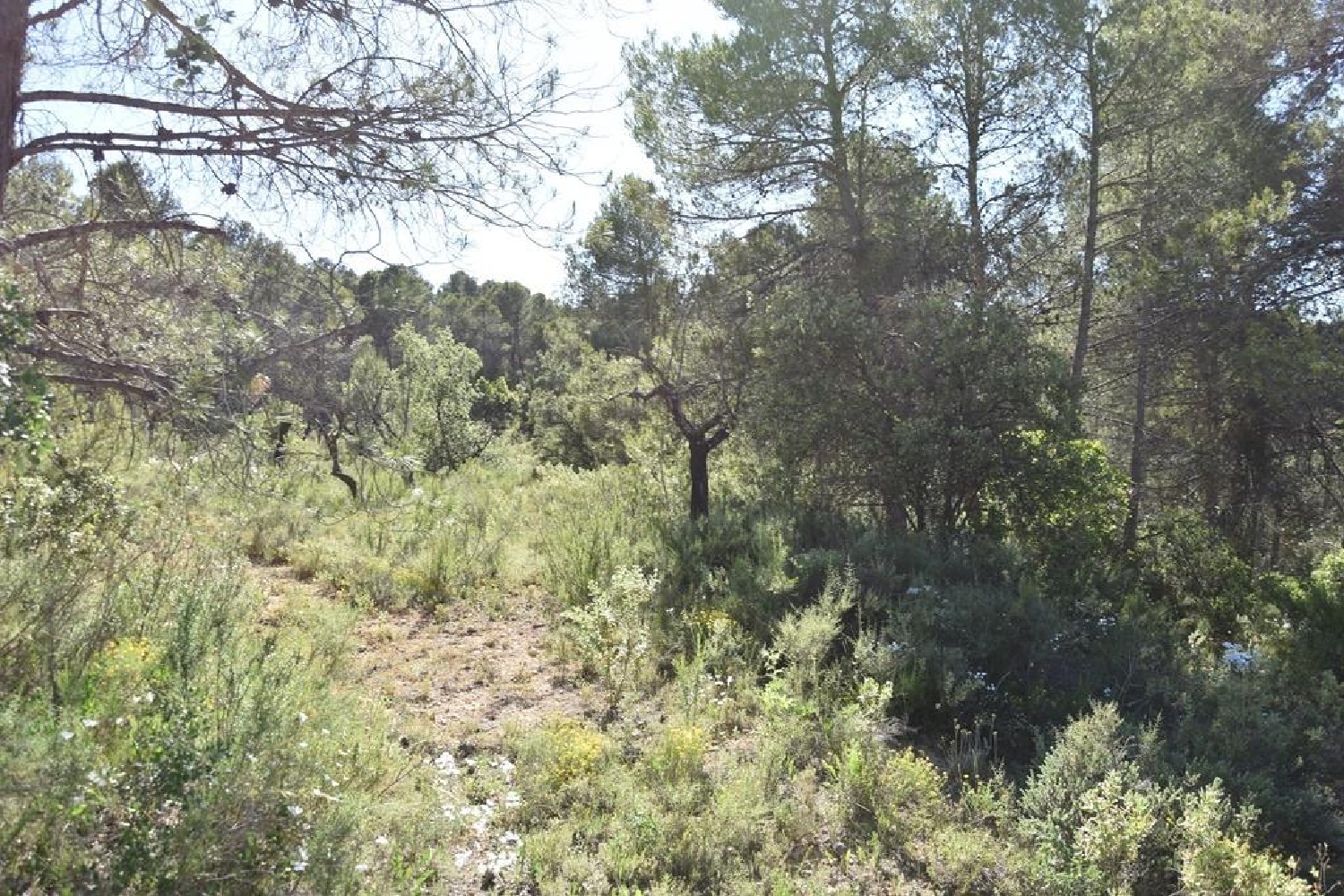  à vendre maison de campagne Cretas Matarraña 7