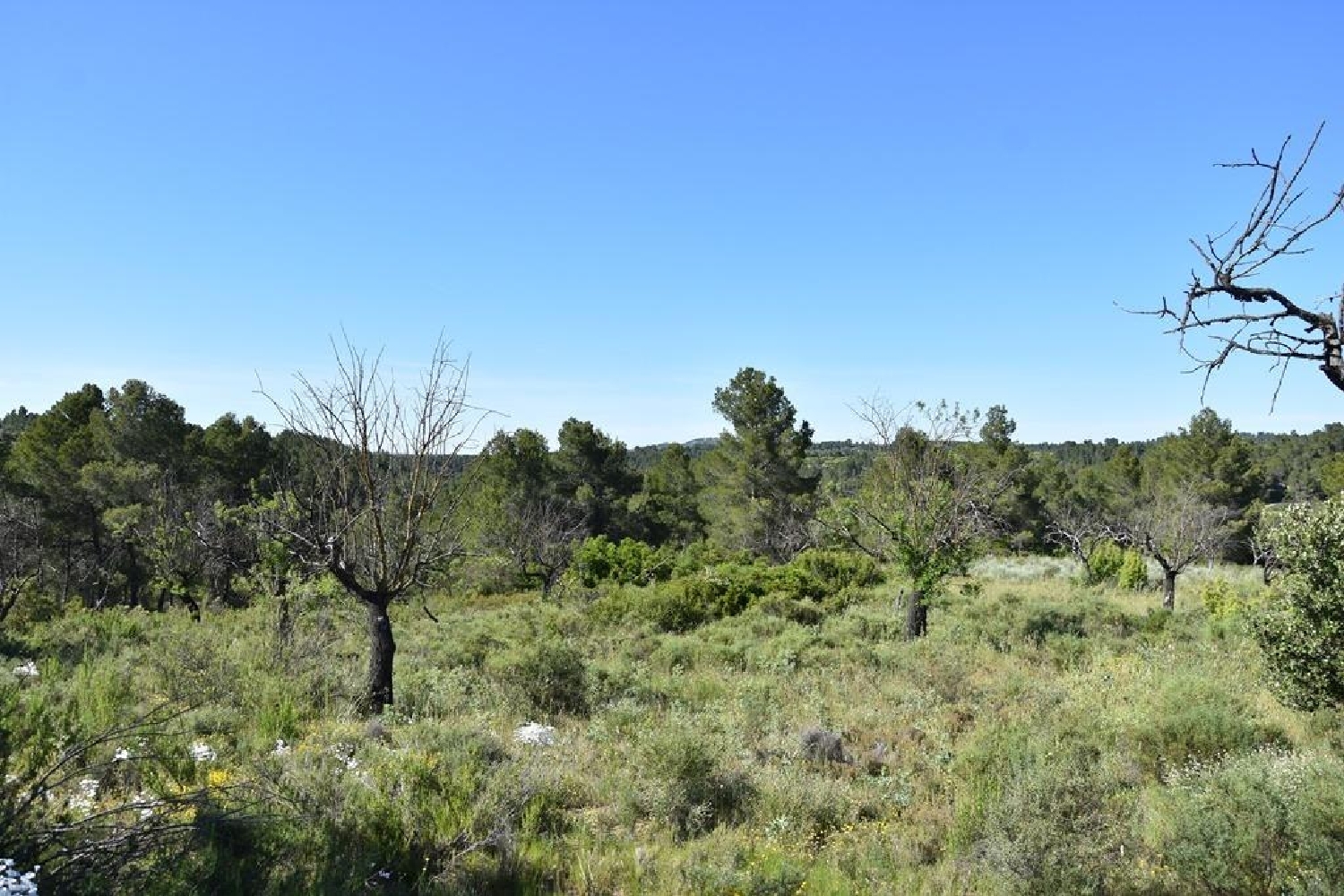  à vendre maison de campagne Cretas Matarraña 8