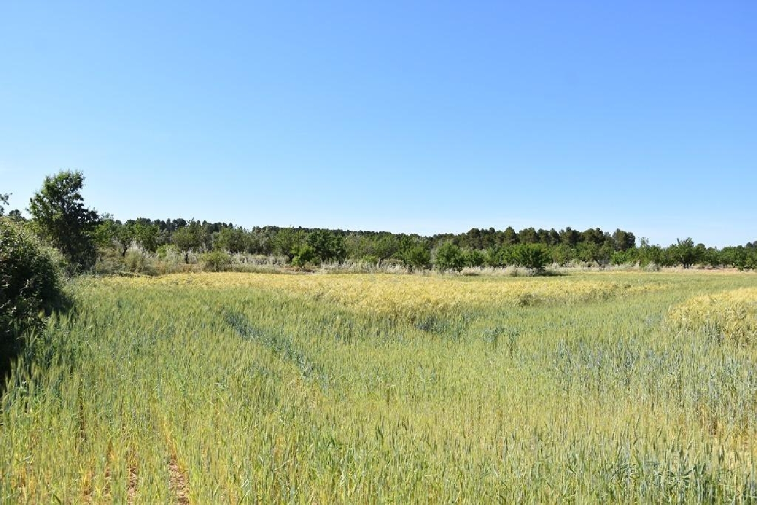  en venta finca rústica Cretas Matarraña 2