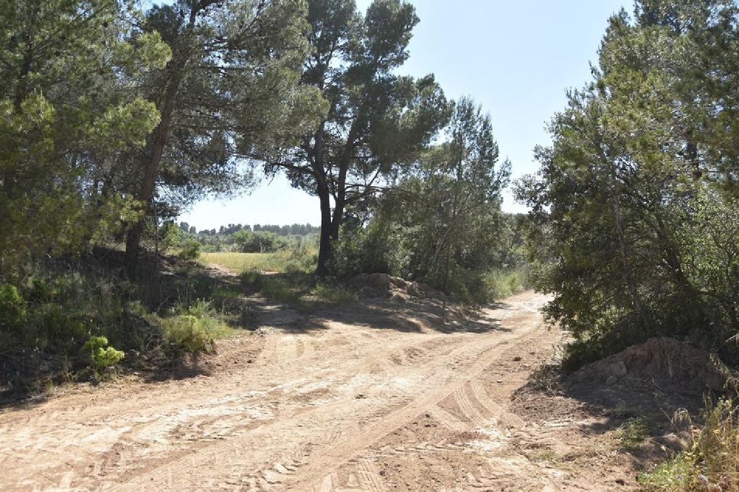  en venta finca rústica Cretas Matarraña 5