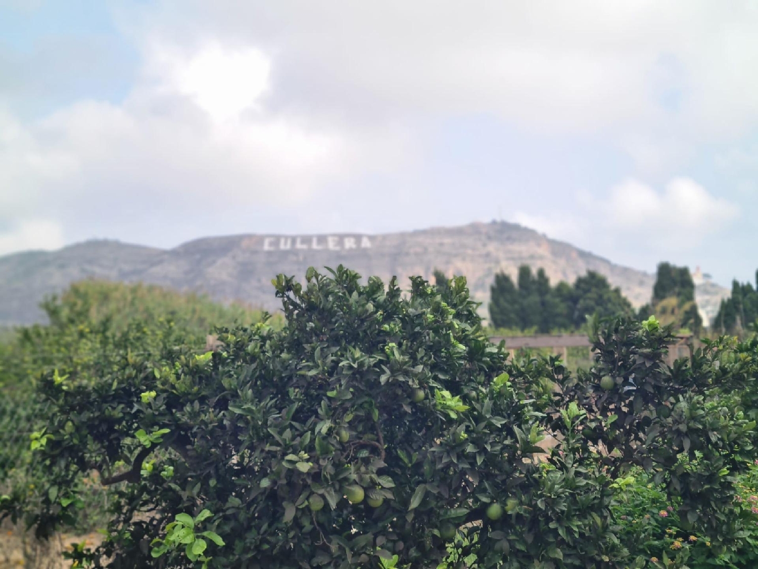  à vendre maison de campagne Cullera Ribera Baixa 8