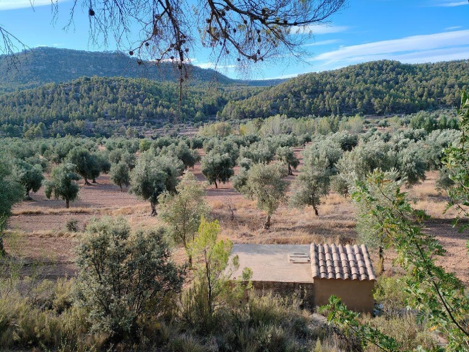  à vendre maison de campagne Fuentespalda Matarraña 5