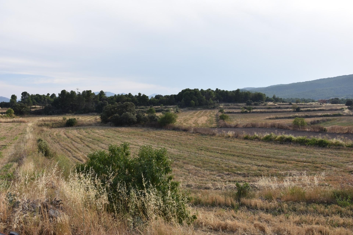 te koop boerderij Fuentespalda Matarraña 1