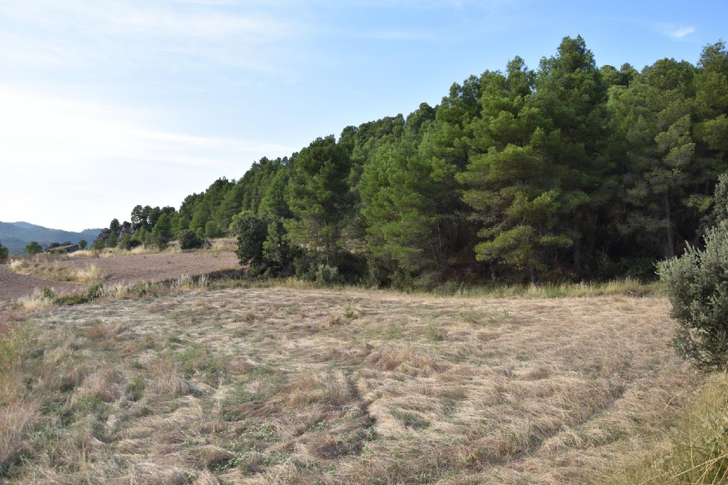  te koop boerderij Fuentespalda Matarraña 3