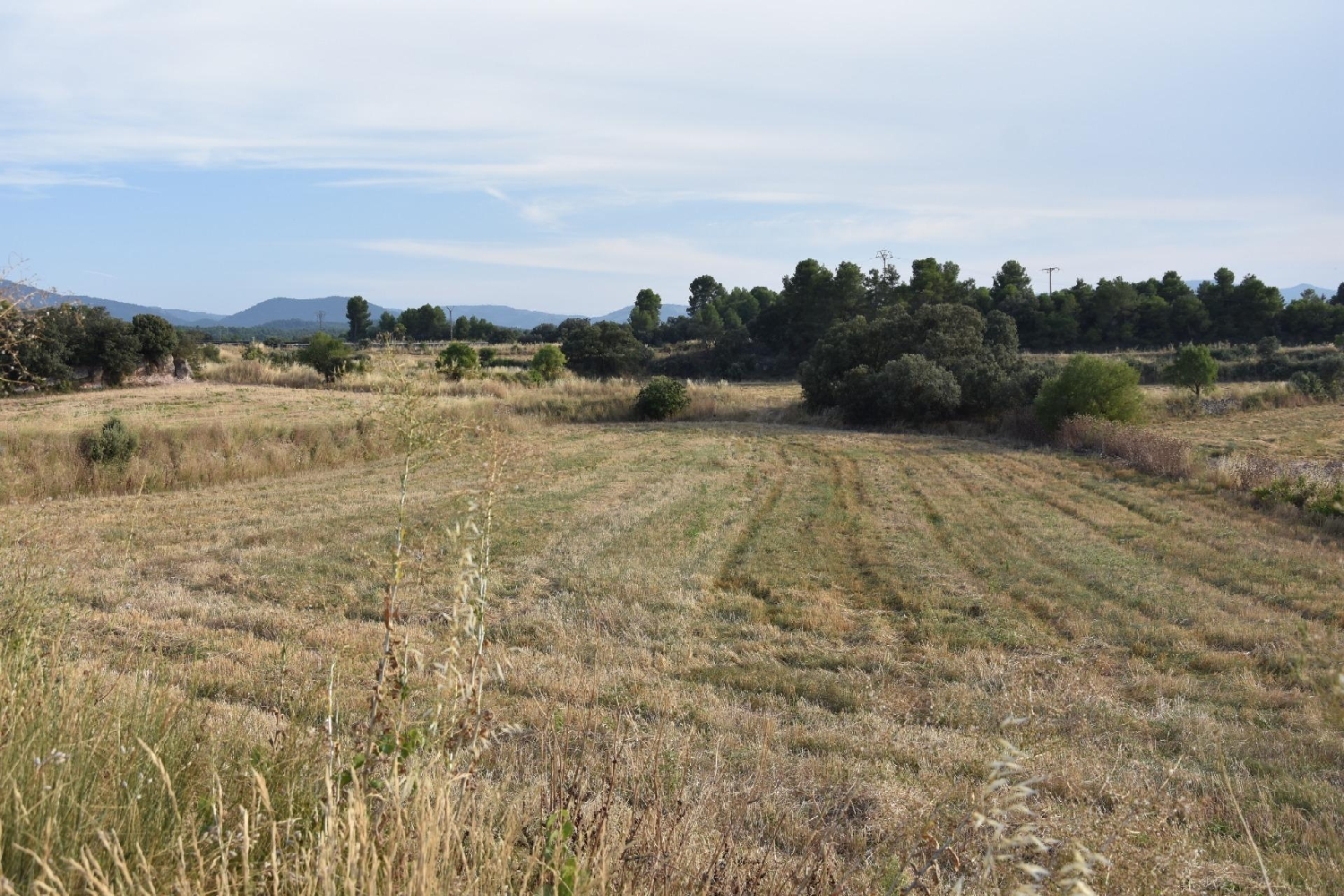  te koop boerderij Fuentespalda Matarraña 2