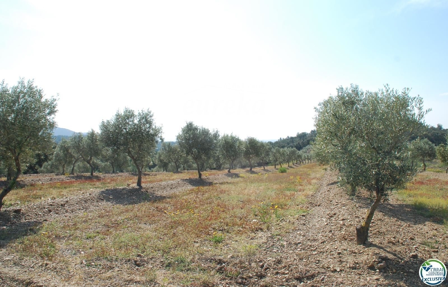  till salu hus på landet Garriguella Alt Empordà 15