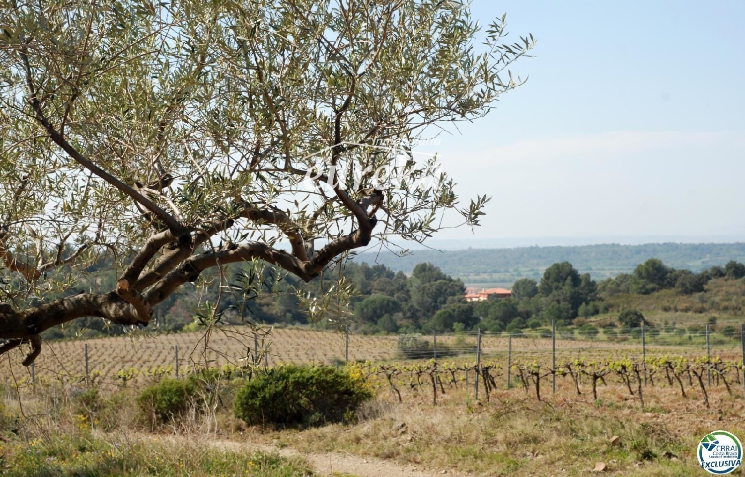  till salu hus på landet Garriguella Alt Empordà 17