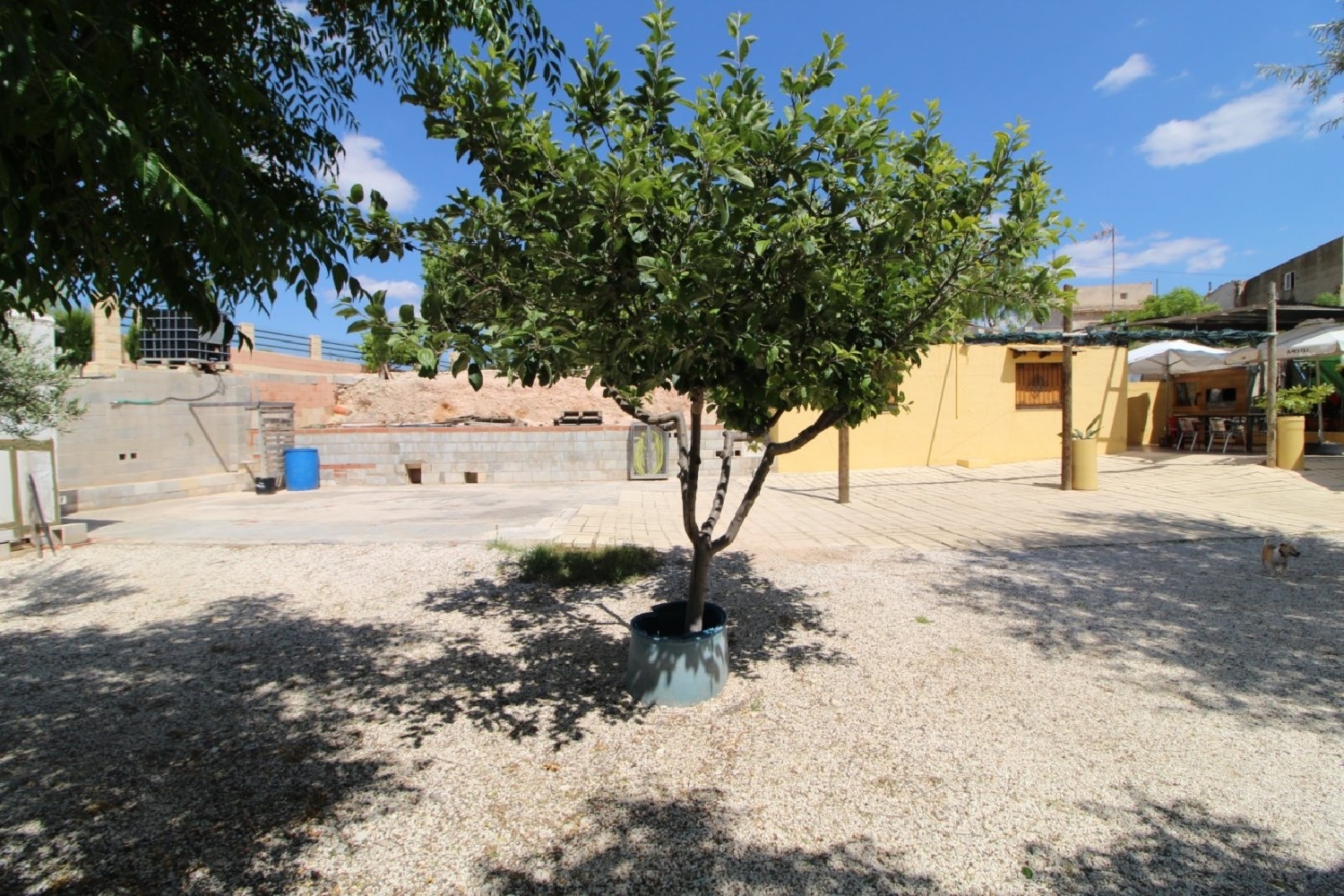  kaufen Landhaus Hondón De Las Nieves Vinalopó Mitjà 5