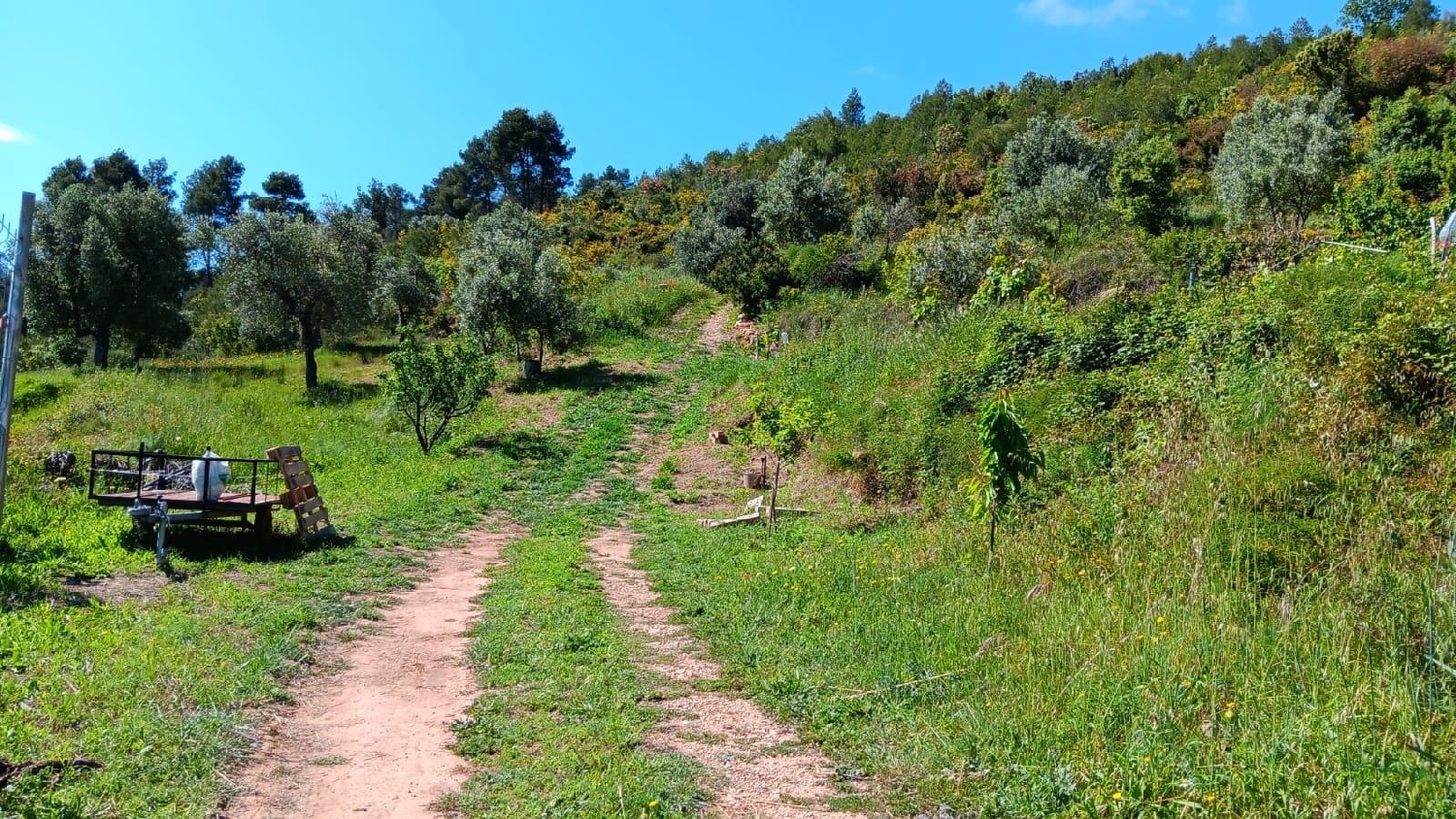  te koop boerderij Horta De Sant Joan Terra Alta 8