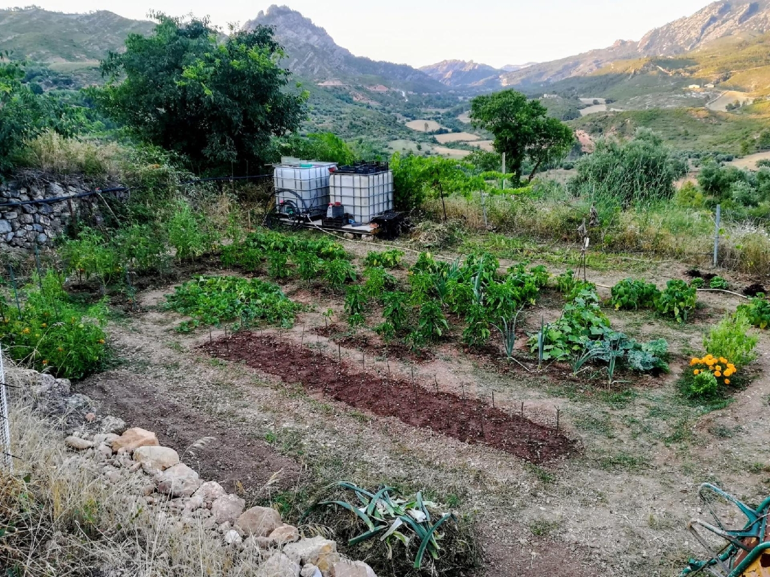  te koop boerderij Horta De Sant Joan Terra Alta 2