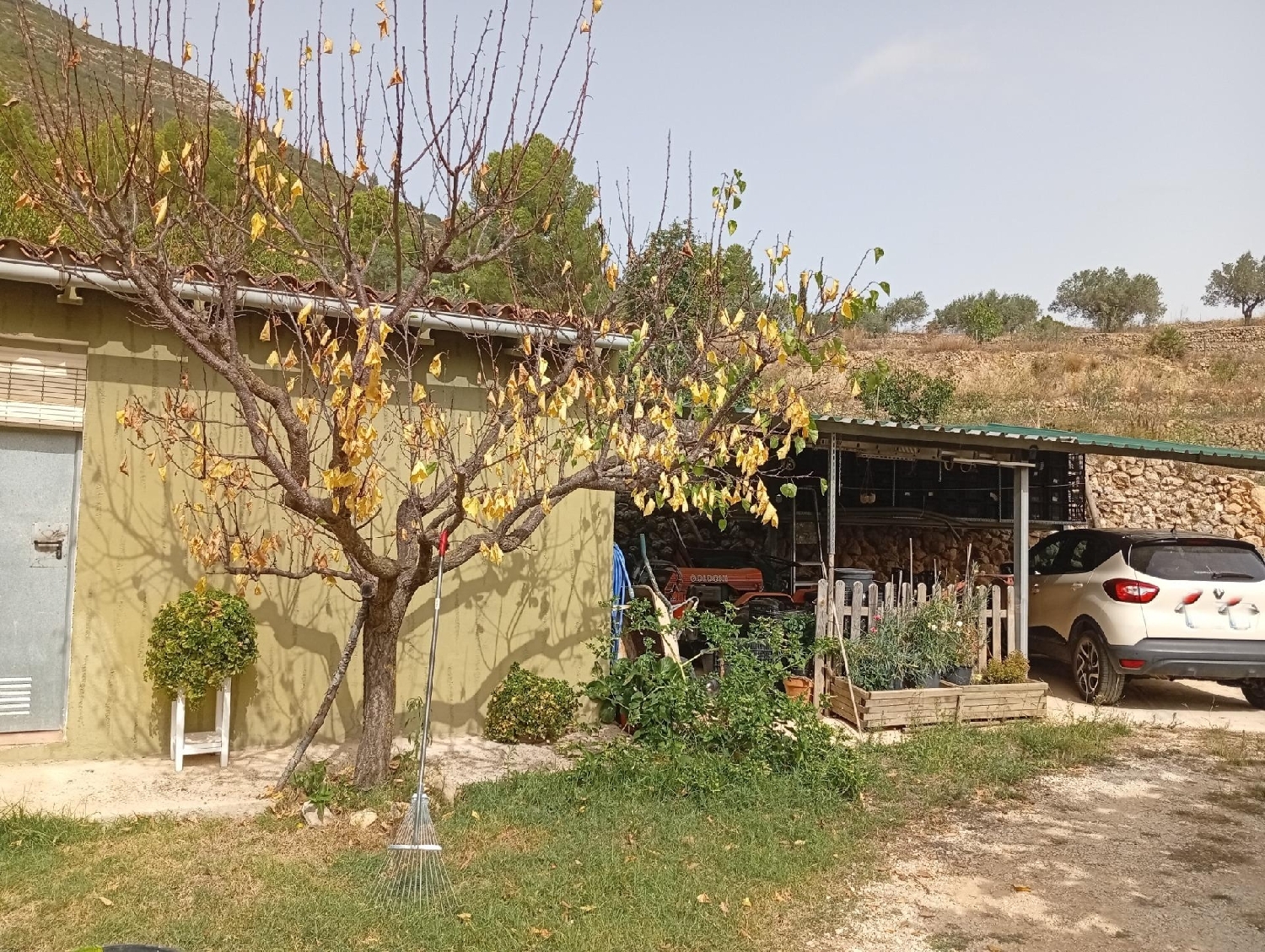  à vendre maison de campagne Jalón Marina Alta 4