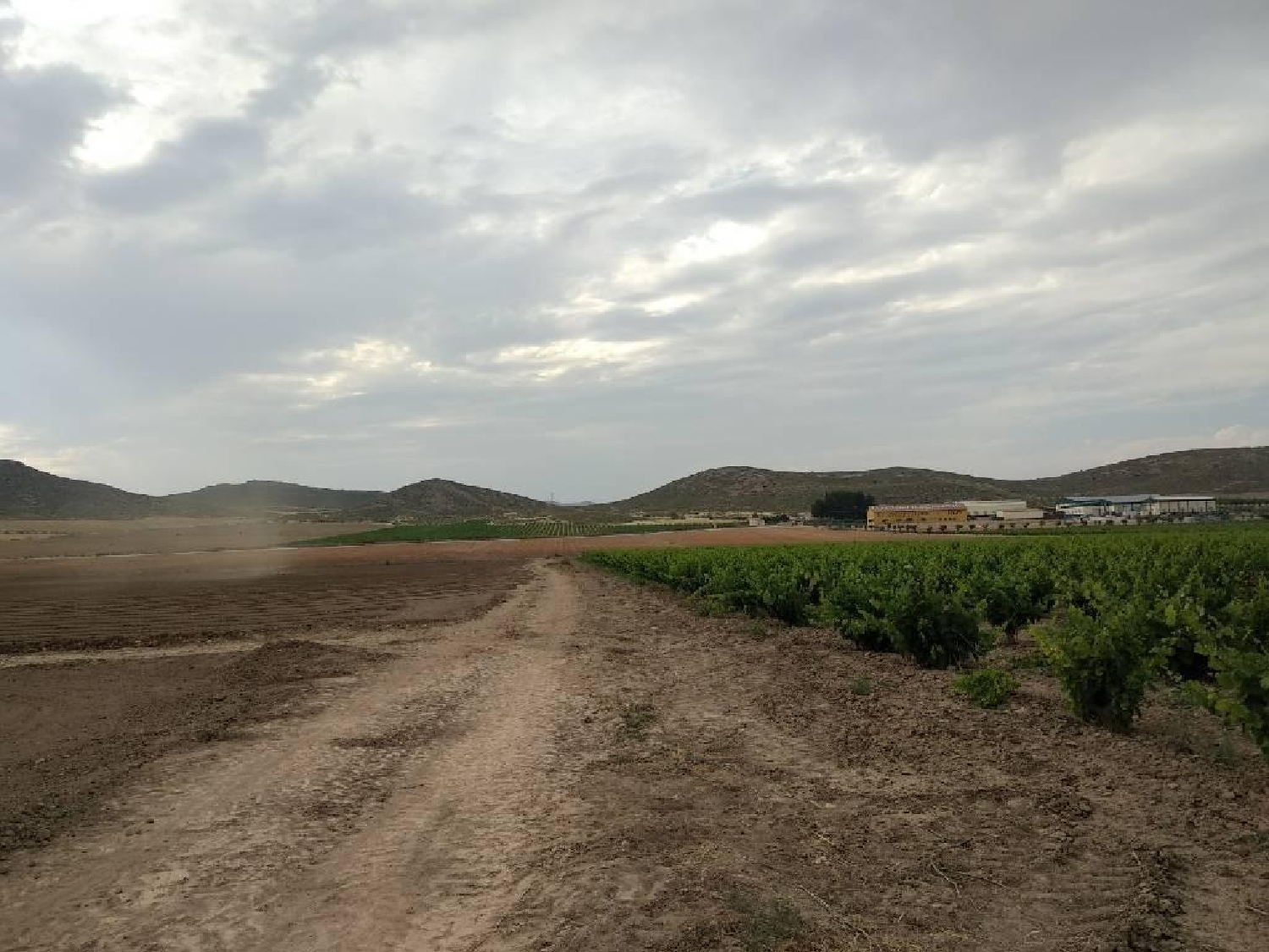  till salu hus på landet Jumilla Altiplano 3