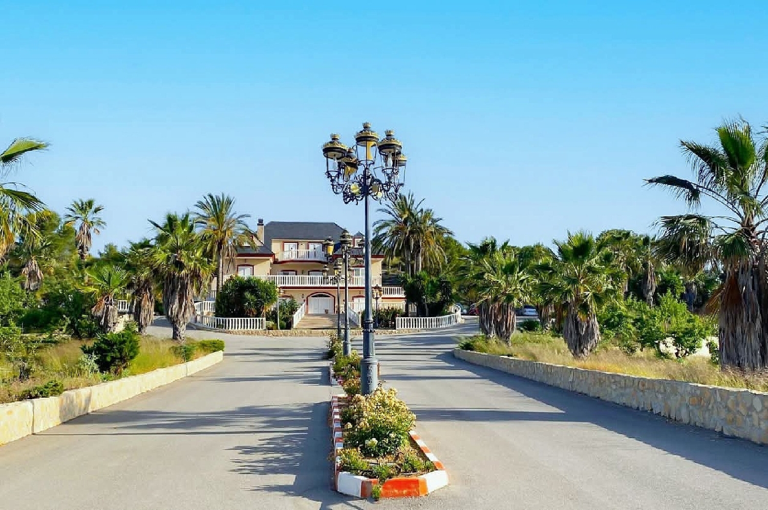  en venta finca rústica Jumilla Altiplano 3