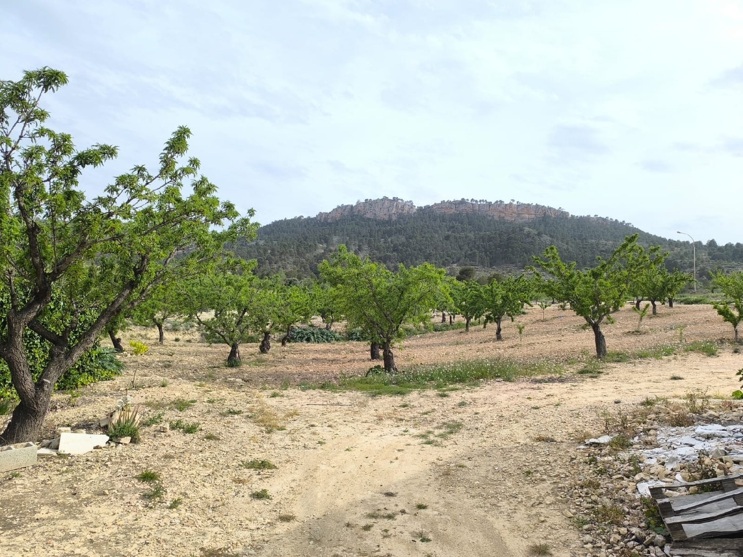  à vendre maison de campagne Jumilla Altiplano 2